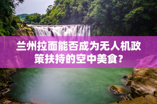 兰州拉面能否成为无人机政策扶持的空中美食？