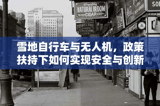雪地自行车与无人机，政策扶持下如何实现安全与创新的双赢？