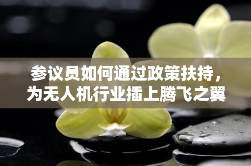 参议员如何通过政策扶持，为无人机行业插上腾飞之翼？