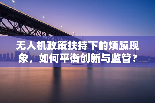 无人机政策扶持下的烦躁现象，如何平衡创新与监管？
