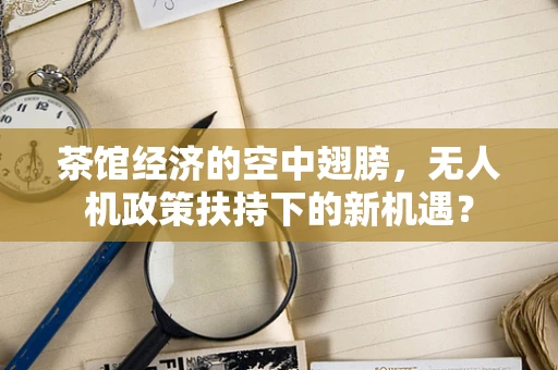 茶馆经济的空中翅膀，无人机政策扶持下的新机遇？