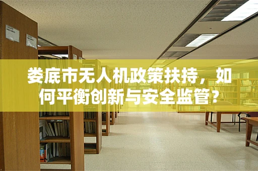 娄底市无人机政策扶持，如何平衡创新与安全监管？