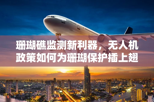 珊瑚礁监测新利器，无人机政策如何为珊瑚保护插上翅膀？