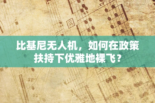 比基尼无人机，如何在政策扶持下优雅地裸飞？
