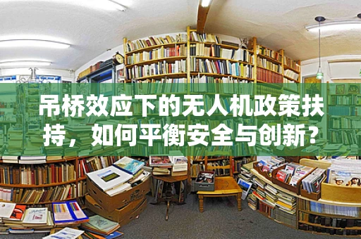 吊桥效应下的无人机政策扶持，如何平衡安全与创新？