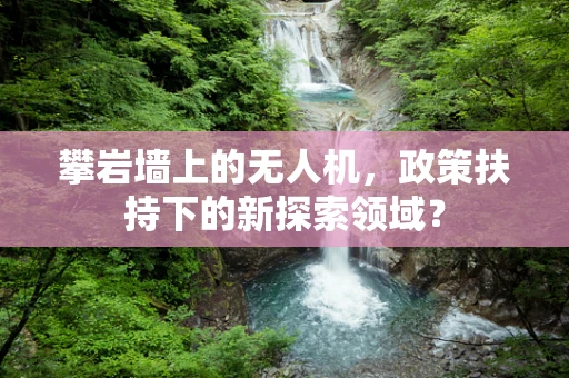 攀岩墙上的无人机，政策扶持下的新探索领域？