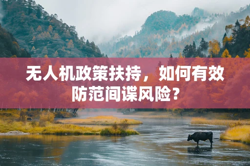 无人机政策扶持，如何有效防范间谍风险？
