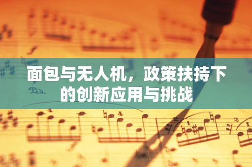 面包与无人机，政策扶持下的创新应用与挑战