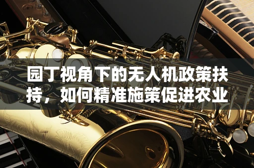 园丁视角下的无人机政策扶持，如何精准施策促进农业智慧化？