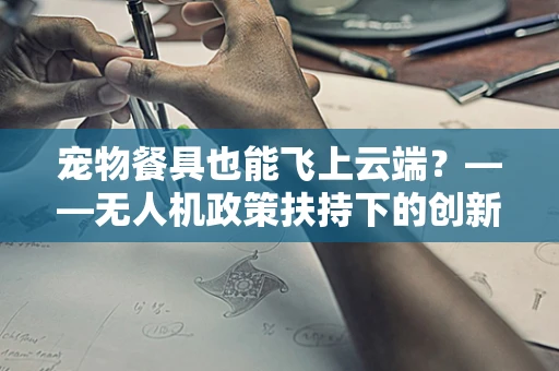 宠物餐具也能飞上云端？——无人机政策扶持下的创新应用探索