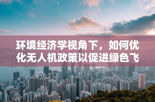 环境经济学视角下，如何优化无人机政策以促进绿色飞行？