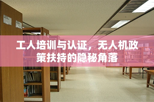 工人培训与认证，无人机政策扶持的隐秘角落