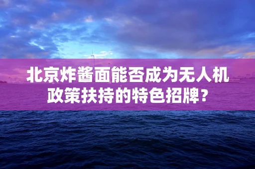 北京炸酱面能否成为无人机政策扶持的特色招牌？