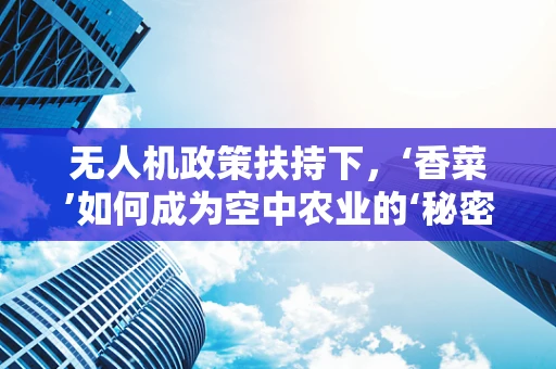 无人机政策扶持下，‘香菜’如何成为空中农业的‘秘密武器’？