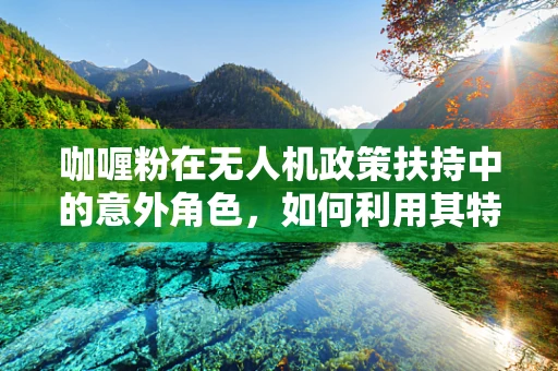咖喱粉在无人机政策扶持中的意外角色，如何利用其特性促进创新与安全？