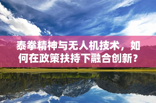 泰拳精神与无人机技术，如何在政策扶持下融合创新？