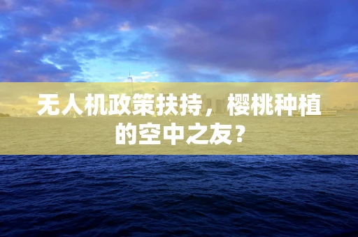 无人机政策扶持，樱桃种植的空中之友？