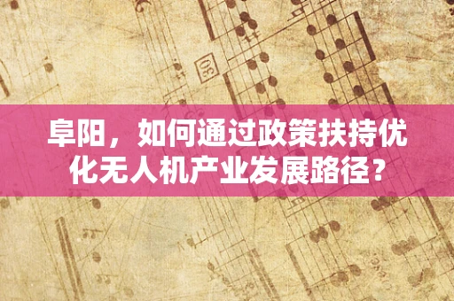阜阳，如何通过政策扶持优化无人机产业发展路径？
