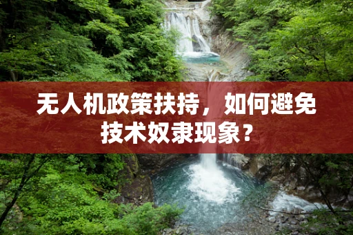 无人机政策扶持，如何避免技术奴隶现象？