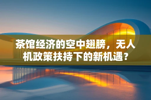 茶馆经济的空中翅膀，无人机政策扶持下的新机遇？