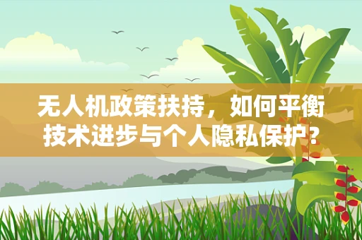 无人机政策扶持，如何平衡技术进步与个人隐私保护？