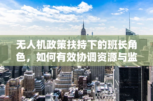 无人机政策扶持下的班长角色，如何有效协调资源与监管？