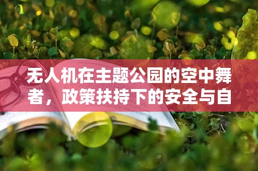 无人机在主题公园的空中舞者，政策扶持下的安全与自由边界？
