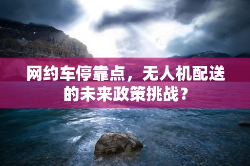 网约车停靠点，无人机配送的未来政策挑战？