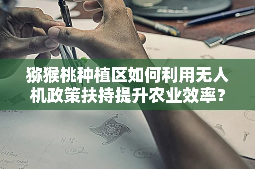 猕猴桃种植区如何利用无人机政策扶持提升农业效率？