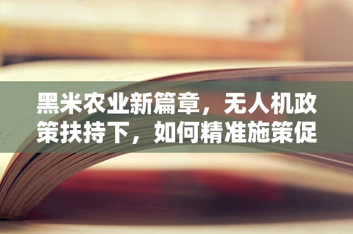 黑米农业新篇章，无人机政策扶持下，如何精准施策促进精准农业发展？