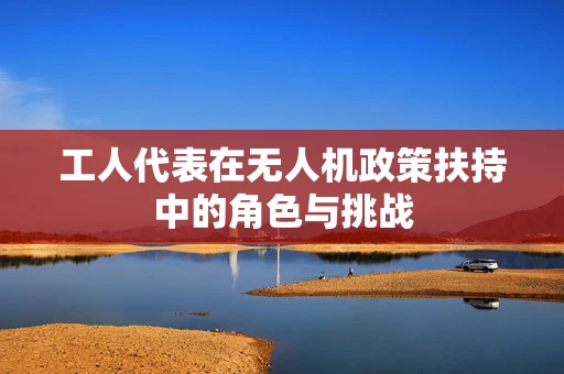 工人代表在无人机政策扶持中的角色与挑战