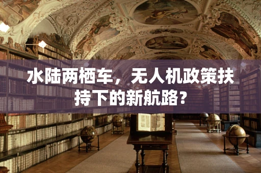 水陆两栖车，无人机政策扶持下的新航路？