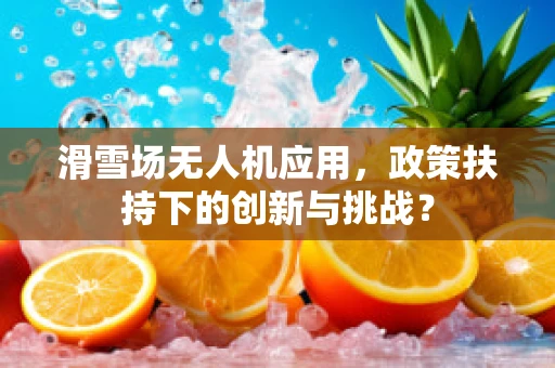 滑雪场无人机应用，政策扶持下的创新与挑战？