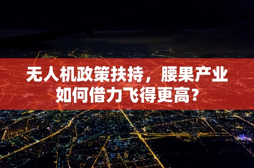 无人机政策扶持，腰果产业如何借力飞得更高？