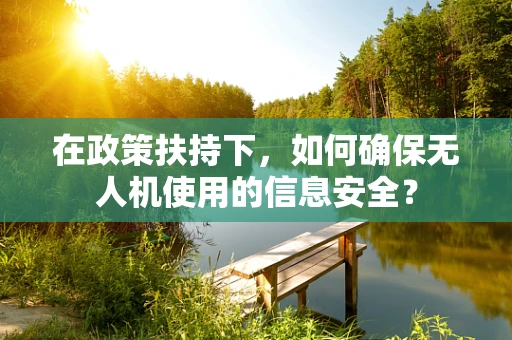 在政策扶持下，如何确保无人机使用的信息安全？