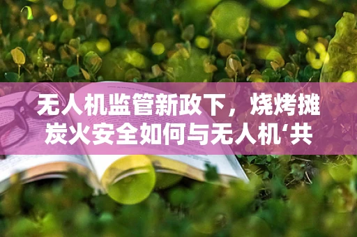 无人机监管新政下，烧烤摊炭火安全如何与无人机‘共舞’？