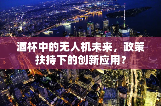 酒杯中的无人机未来，政策扶持下的创新应用？