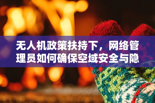 无人机政策扶持下，网络管理员如何确保空域安全与隐私保护？