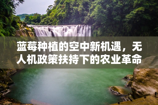 蓝莓种植的空中新机遇，无人机政策扶持下的农业革命？