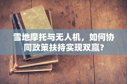 雪地摩托与无人机，如何协同政策扶持实现双赢？
