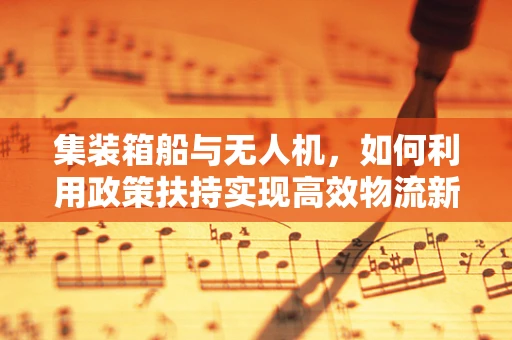 集装箱船与无人机，如何利用政策扶持实现高效物流新模式？