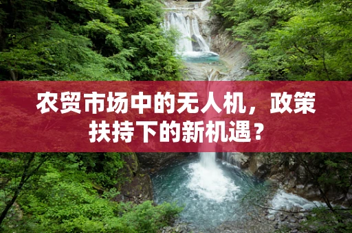 农贸市场中的无人机，政策扶持下的新机遇？