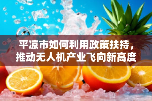 平凉市如何利用政策扶持，推动无人机产业飞向新高度？