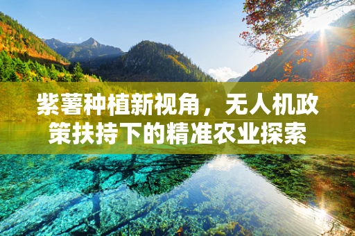 紫薯种植新视角，无人机政策扶持下的精准农业探索