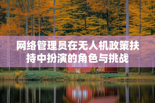 网络管理员在无人机政策扶持中扮演的角色与挑战