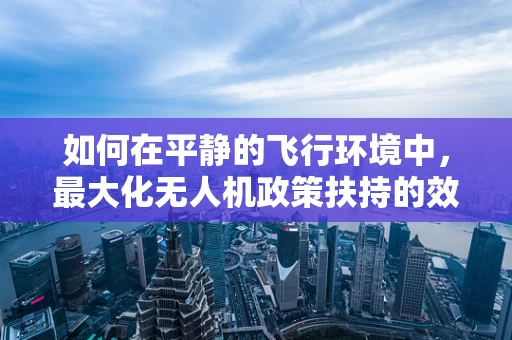 如何在平静的飞行环境中，最大化无人机政策扶持的效益？