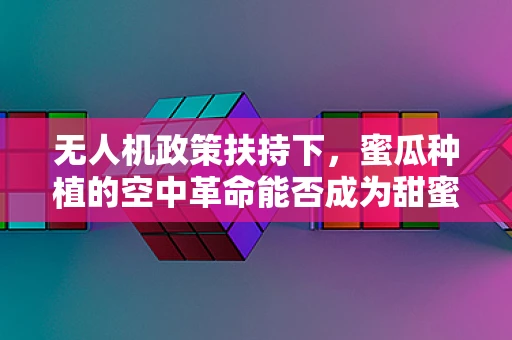 无人机政策扶持下，蜜瓜种植的空中革命能否成为甜蜜新篇章？