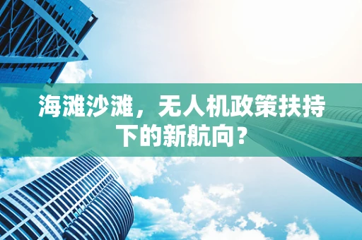 海滩沙滩，无人机政策扶持下的新航向？