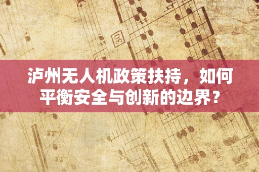 泸州无人机政策扶持，如何平衡安全与创新的边界？