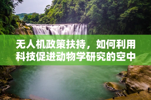无人机政策扶持，如何利用科技促进动物学研究的空中之眼？